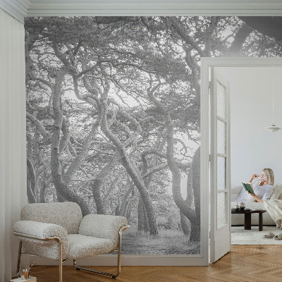 Fototapete fürs Kinderzimmer mit atmosphärischem Waldmotiv