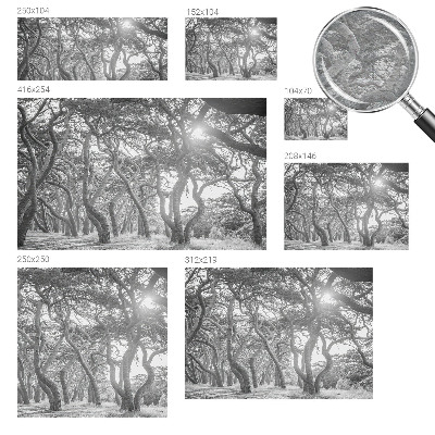 Fototapete fürs Kinderzimmer mit atmosphärischem Waldmotiv