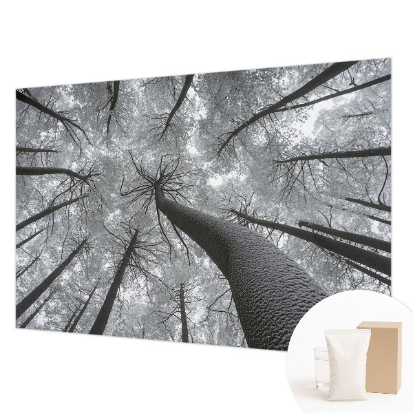 Vlies-Fototapete fürs Wohnzimmer mit winterlicher Landschaft