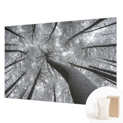 Vlies-Fototapete fürs Wohnzimmer mit winterlicher Landschaft