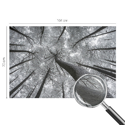 Vlies-Fototapete fürs Wohnzimmer mit winterlicher Landschaft