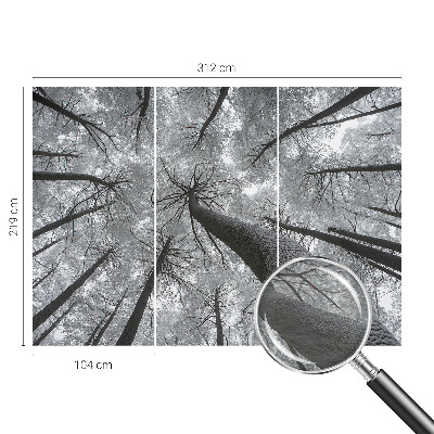 Vlies-Fototapete fürs Wohnzimmer mit winterlicher Landschaft