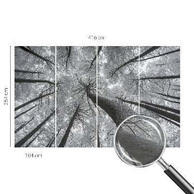 Vlies-Fototapete fürs Wohnzimmer mit winterlicher Landschaft