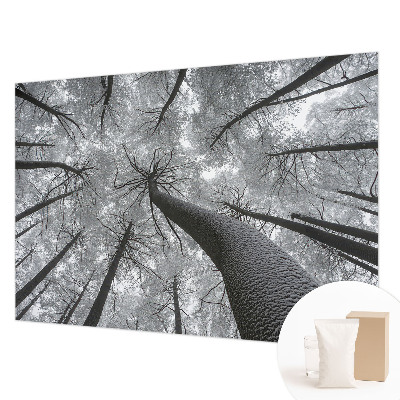 Vlies-Fototapete fürs Wohnzimmer mit winterlicher Landschaft