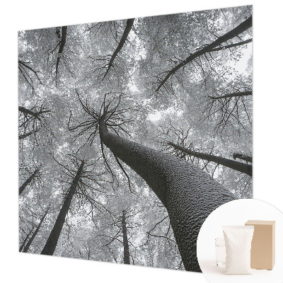 Vlies-Fototapete fürs Wohnzimmer mit winterlicher Landschaft