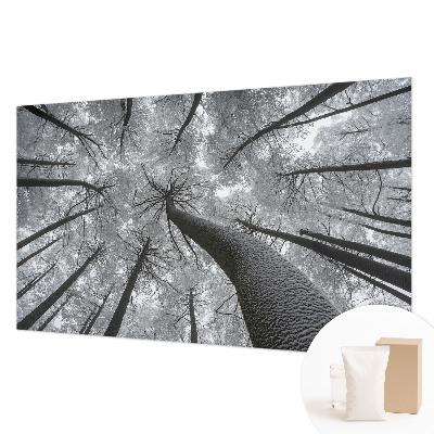 Vlies-Fototapete fürs Wohnzimmer mit winterlicher Landschaft