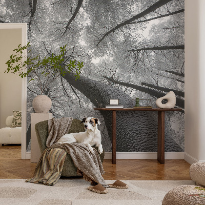 Vlies-Fototapete fürs Wohnzimmer mit winterlicher Landschaft
