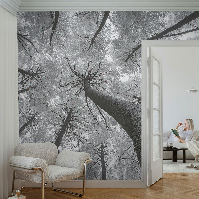 Vlies-Fototapete fürs Wohnzimmer mit winterlicher Landschaft