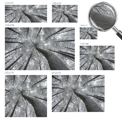 Vlies-Fototapete fürs Wohnzimmer mit winterlicher Landschaft