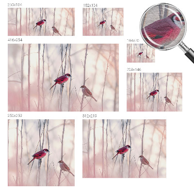 Wand-Fototapete mit einem Vogelpaar als Motiv