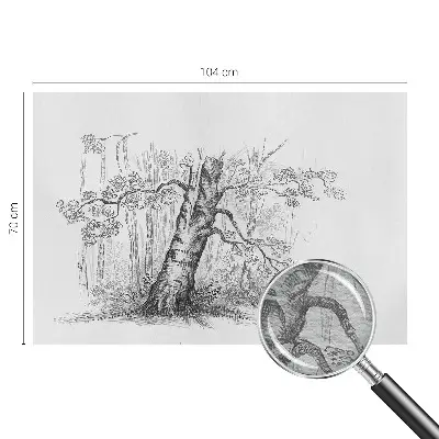 Fototapete mit Motiv eines Waldbaums