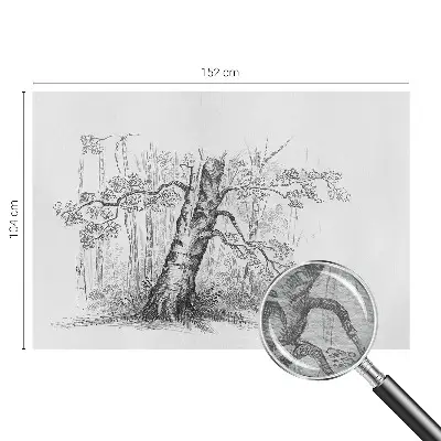 Fototapete mit Motiv eines Waldbaums