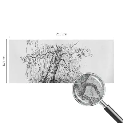 Fototapete mit Motiv eines Waldbaums