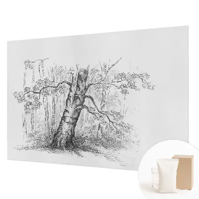 Fototapete mit Motiv eines Waldbaums