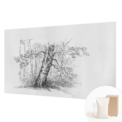Fototapete mit Motiv eines Waldbaums