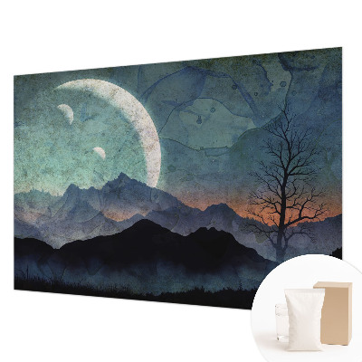 Fototapete fürs Kinderzimmer Nachtlandschaft