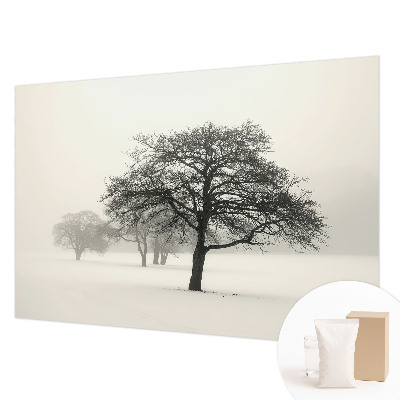 Fototapete fürs Schlafzimmer mit Motiv winterlicher Bäume