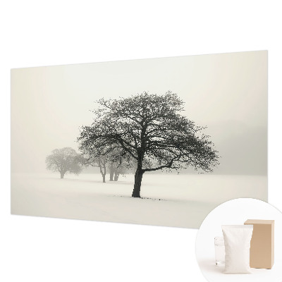 Fototapete fürs Schlafzimmer mit Motiv winterlicher Bäume