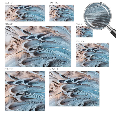 Bildtapete Blaue Federn