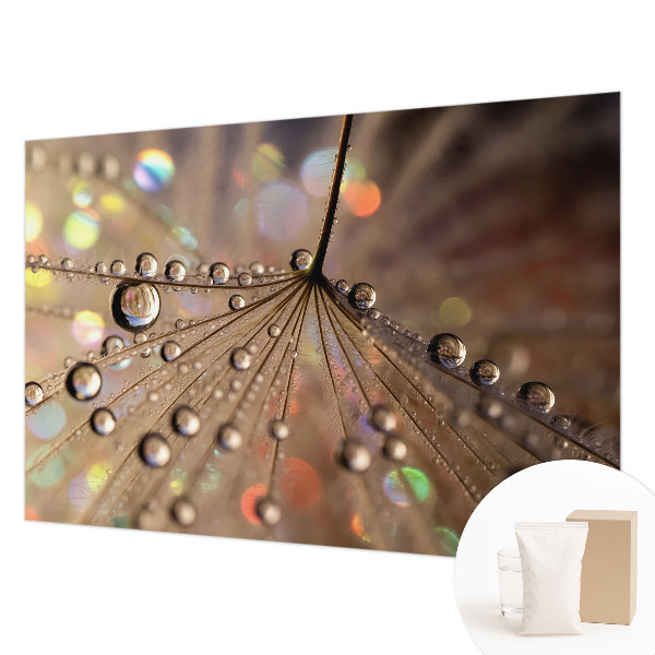 Motivtapete Perlentropfen