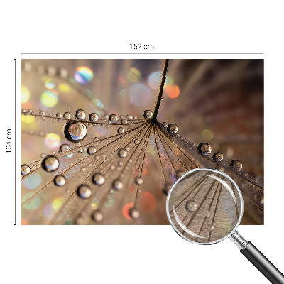 Motivtapete Perlentropfen