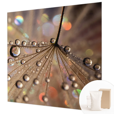 Motivtapete Perlentropfen