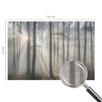 Wandtapete Ätherischer Wald