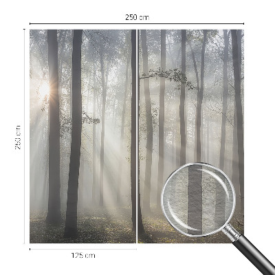 Wandtapete Ätherischer Wald