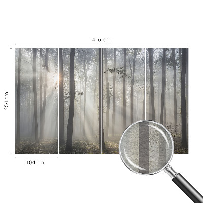 Wandtapete Ätherischer Wald