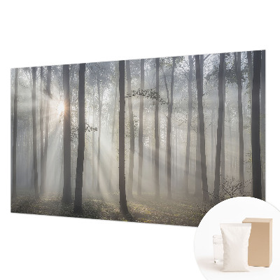 Wandtapete Ätherischer Wald