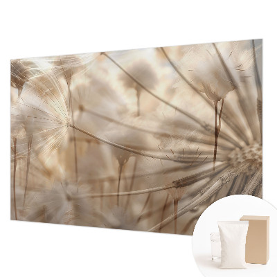 Fototapete Zarte Löwenzahnblüten