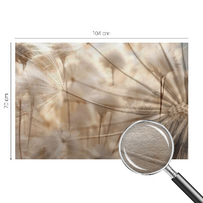 Fototapete Zarte Löwenzahnblüten