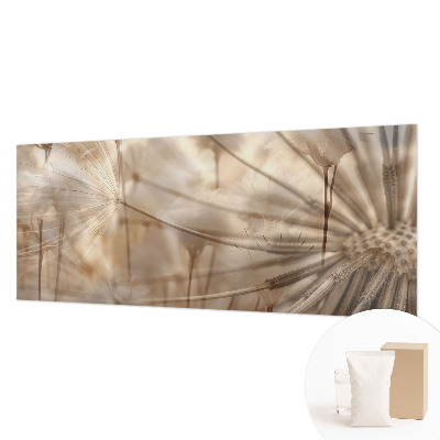 Fototapete Zarte Löwenzahnblüten