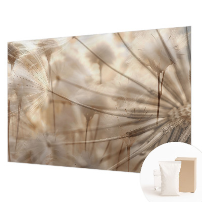 Fototapete Zarte Löwenzahnblüten