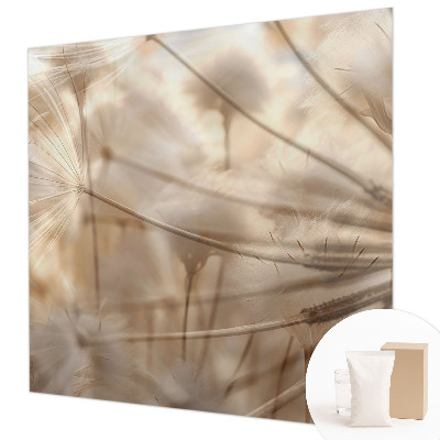 Fototapete Zarte Löwenzahnblüten