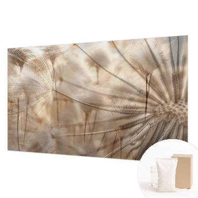 Fototapete Zarte Löwenzahnblüten