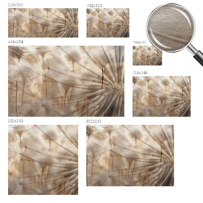 Fototapete Zarte Löwenzahnblüten