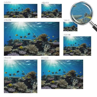 Vlies-Fototapete fürs Schlafzimmer Unterwasserwelt