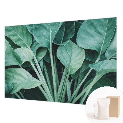 Vliestapete fürs Schlafzimmer mit grünem Naturmotiv