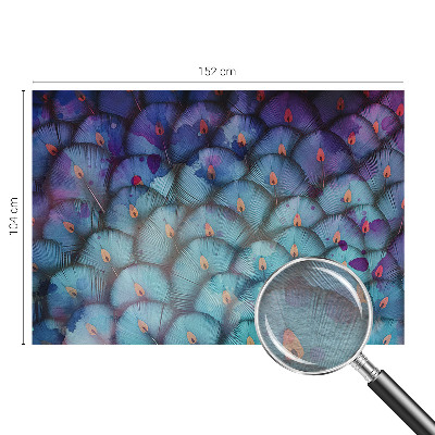 Vlies-Fototapete fürs Wohnzimmer mit buntem Federmotiv