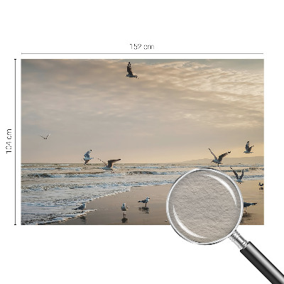 Bedruckte Vlies-Fototapete Ruhe am Meer