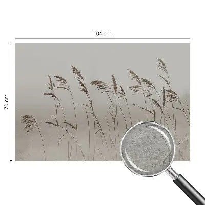 Fototapete nach Maß mit Motiv von Gräsern im Nebel