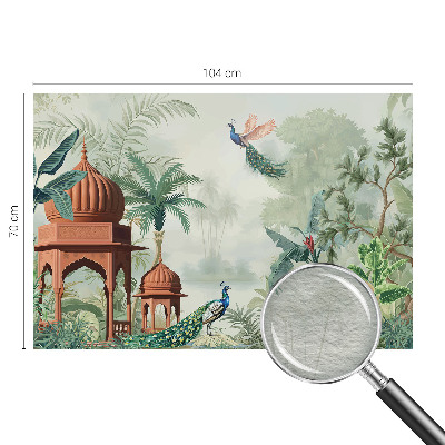 Fototapete Peacock Gardens