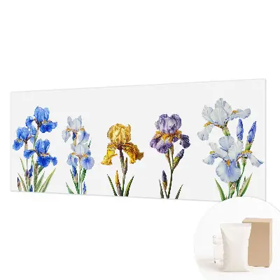 Vlies-Fototapete mit Motiv aus zarten Irisblüten