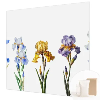Vlies-Fototapete mit Motiv aus zarten Irisblüten
