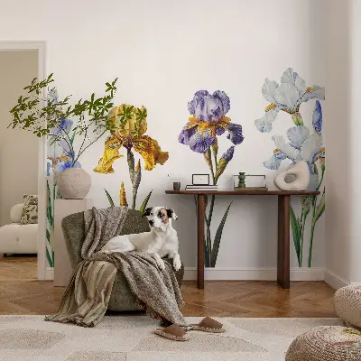 Vlies-Fototapete mit Motiv aus zarten Irisblüten