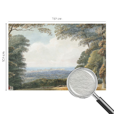 Vlies-Fototapete fürs Schlafzimmer mit einem Motiv bewaldeter Landschaft