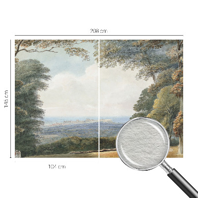 Vlies-Fototapete fürs Schlafzimmer mit einem Motiv bewaldeter Landschaft