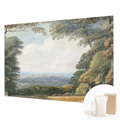 Vlies-Fototapete fürs Schlafzimmer mit einem Motiv bewaldeter Landschaft