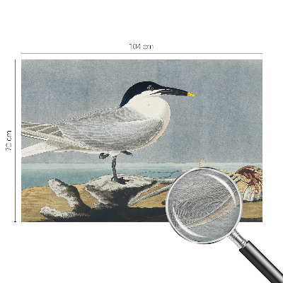 Fototapete fürs Schlafzimmer mit ornithologischem Motiv in elegantem Design